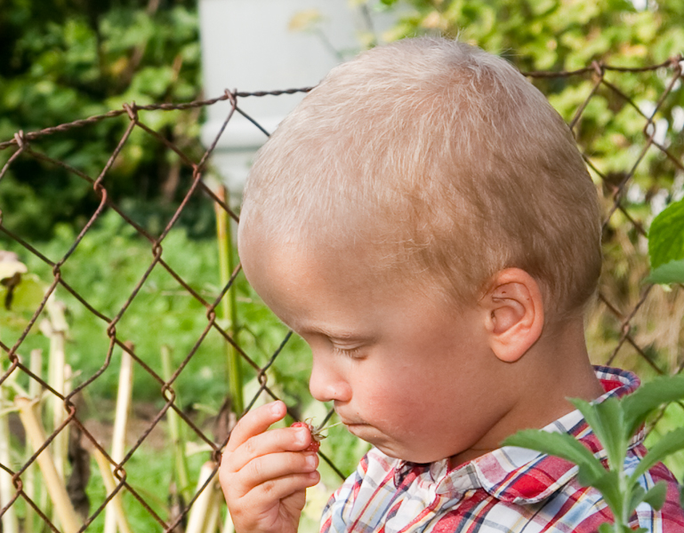 Belichtung: 1/160 Sek. bei f / 5,0 | Brennweite: 44 mm