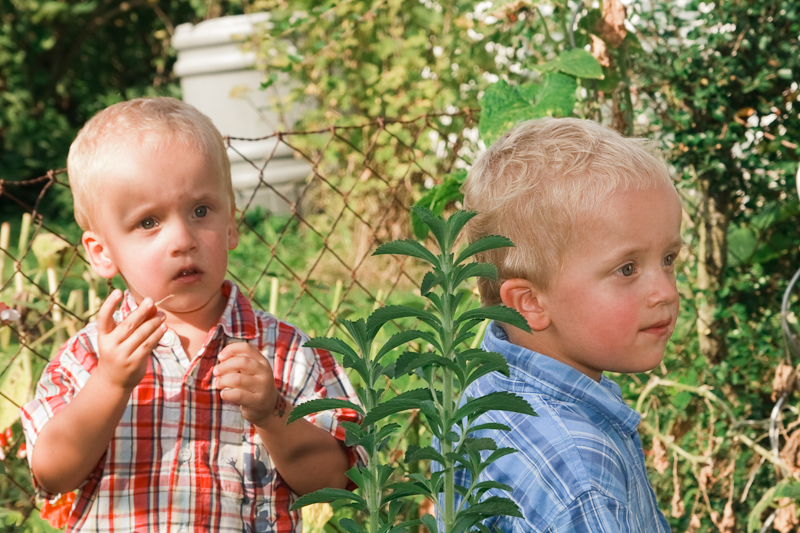 Belichtung: 1/160 Sek. bei f / 6,3 | Brennweite: 45 mm