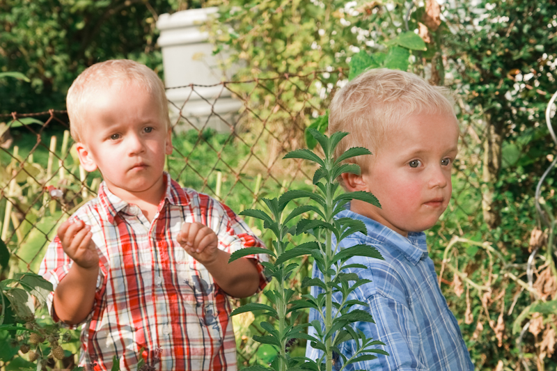 Belichtung: 1/160 Sek. bei f / 6,3 | Brennweite: 45 mm